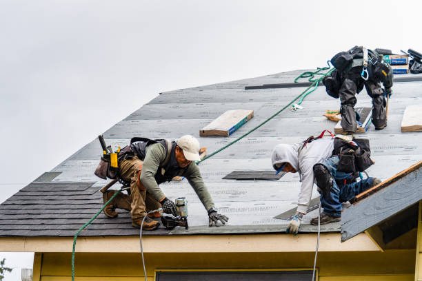 Professional Roofing technician working in Delia, KS